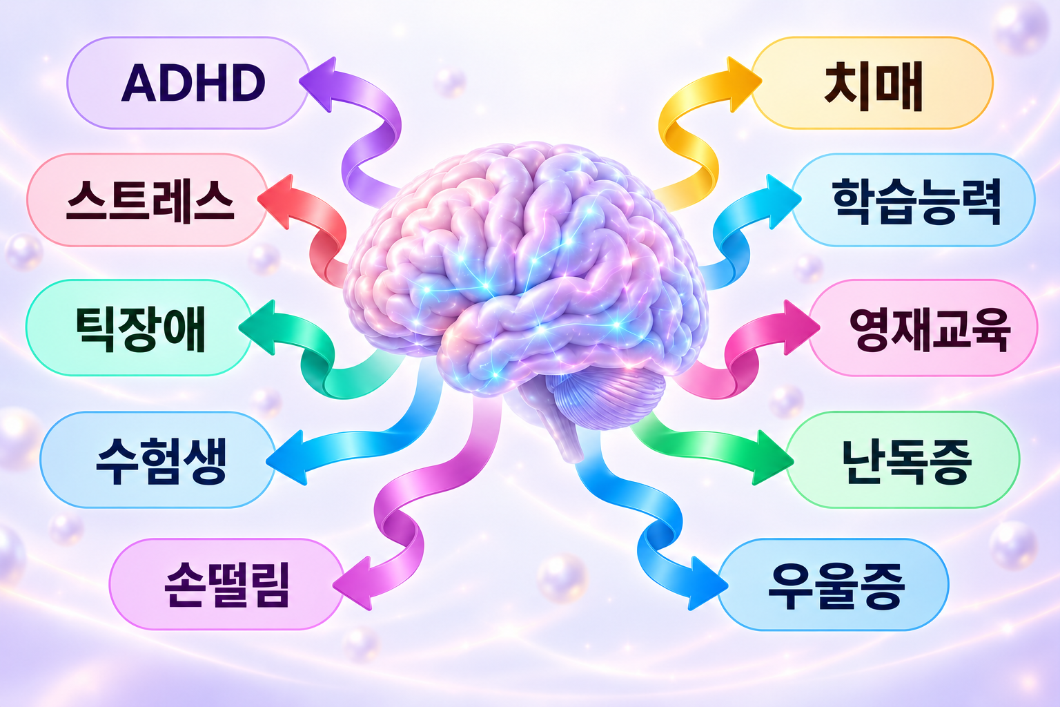TY 올라이프 브레인 안내 이미지